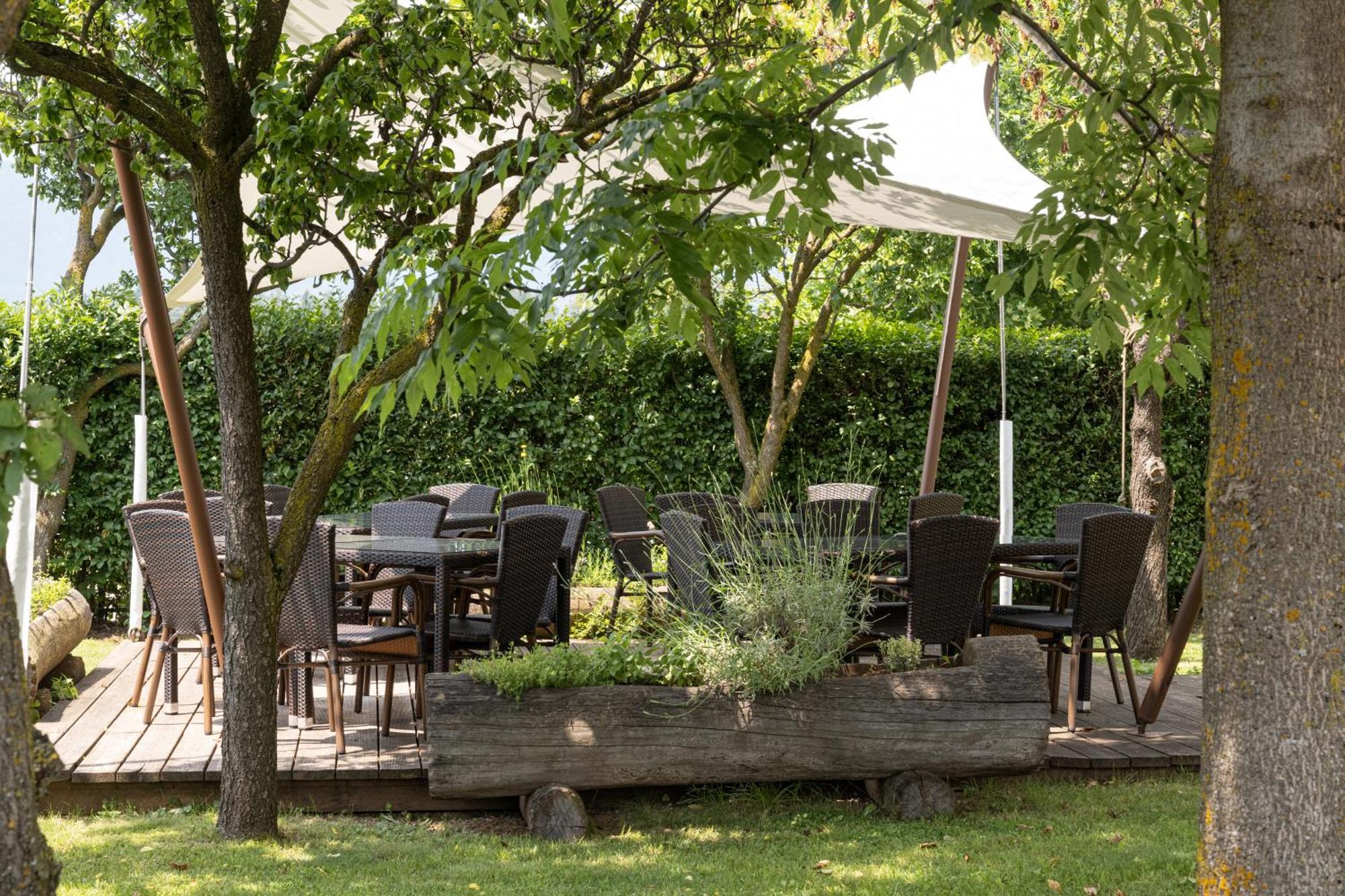 Piccolo Orso Bruno Bed & Breakfast Cavareno Bagian luar foto